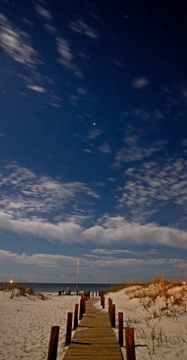 1J5A0351.jpg