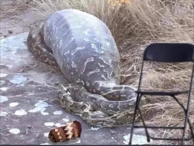 Nooooooooooo!!!!!!