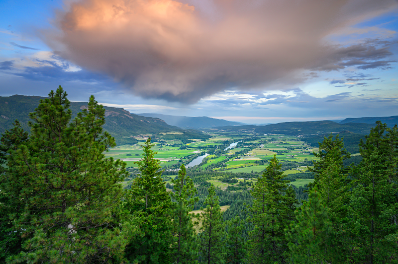 Overlook