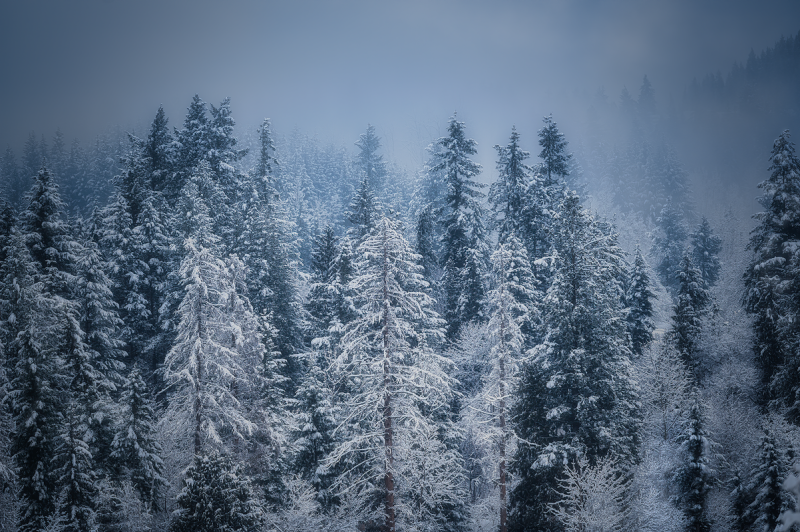 Snowfall Warning