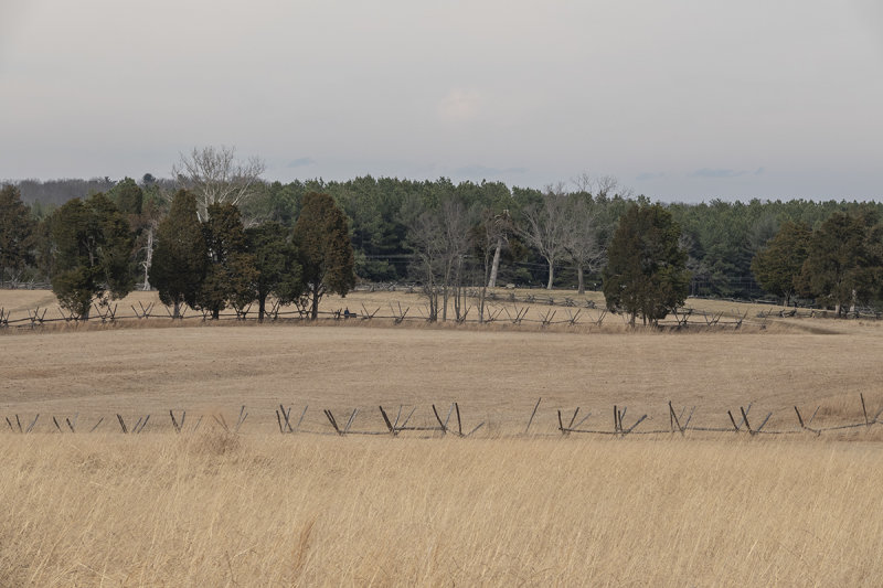 Timeless landscape