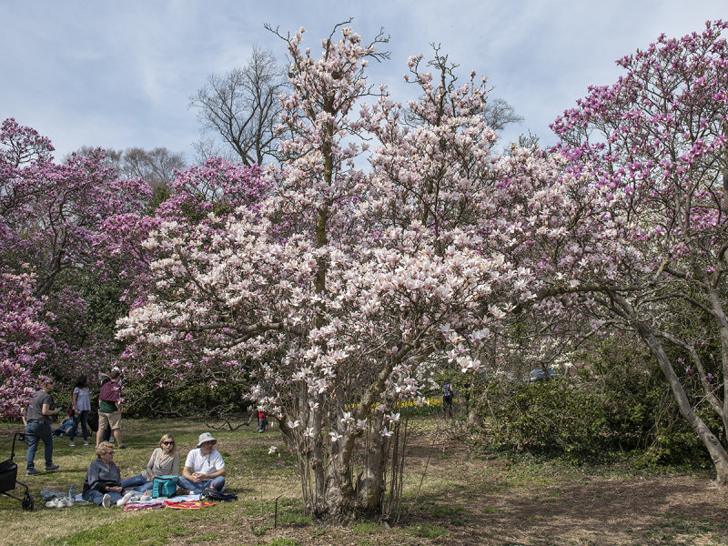 Place for a picnic
