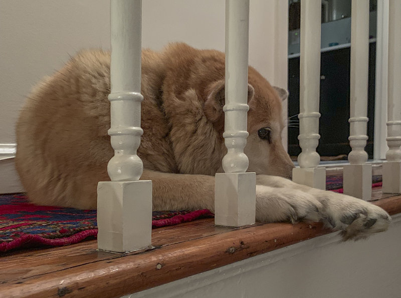 The nightly routine
