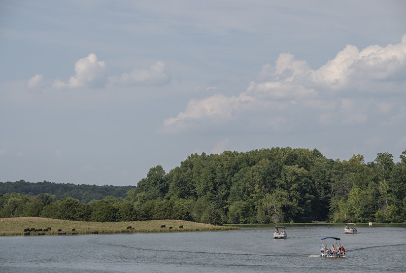 The quieter side of Lake Anna