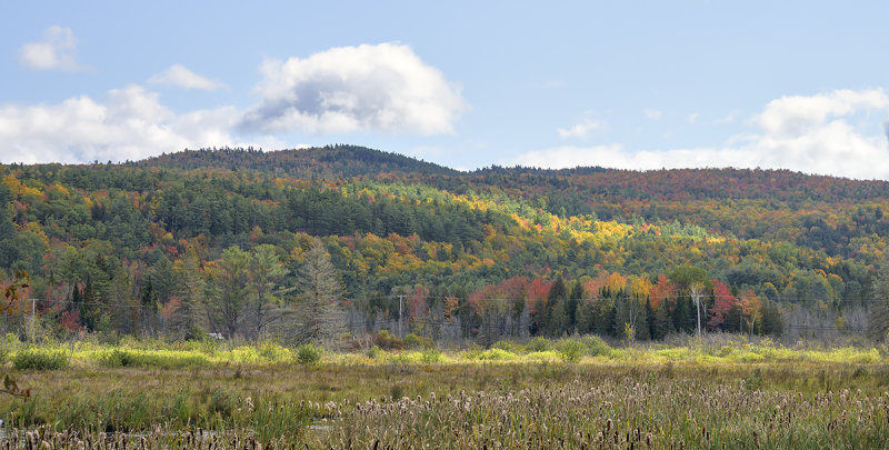 Fall color in the Adirondacks