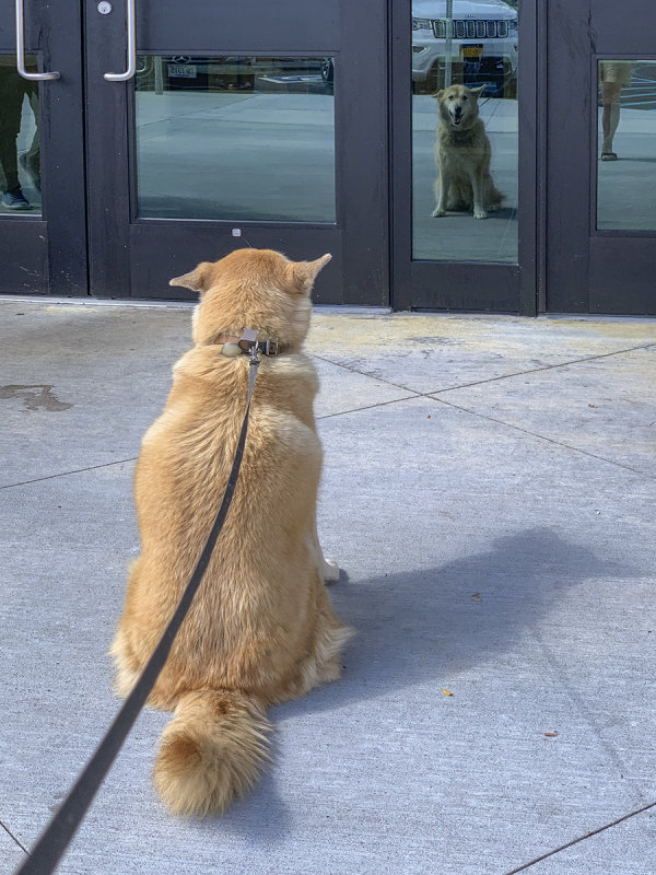 Waiting for Daddy