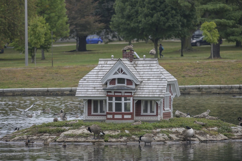 Luxury housing for birds