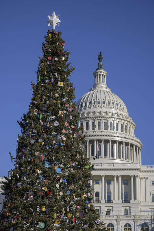 Congressional Christmas Tree