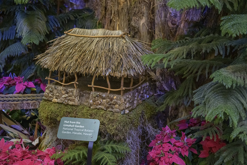Hut from the Limahuli Garden, Hanalei, HI