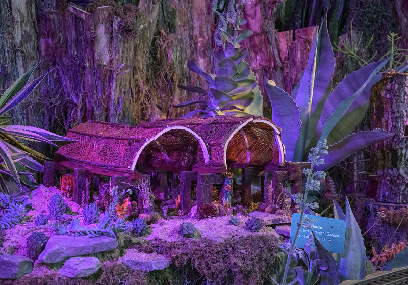 Cactus House, Phoenix, AZ