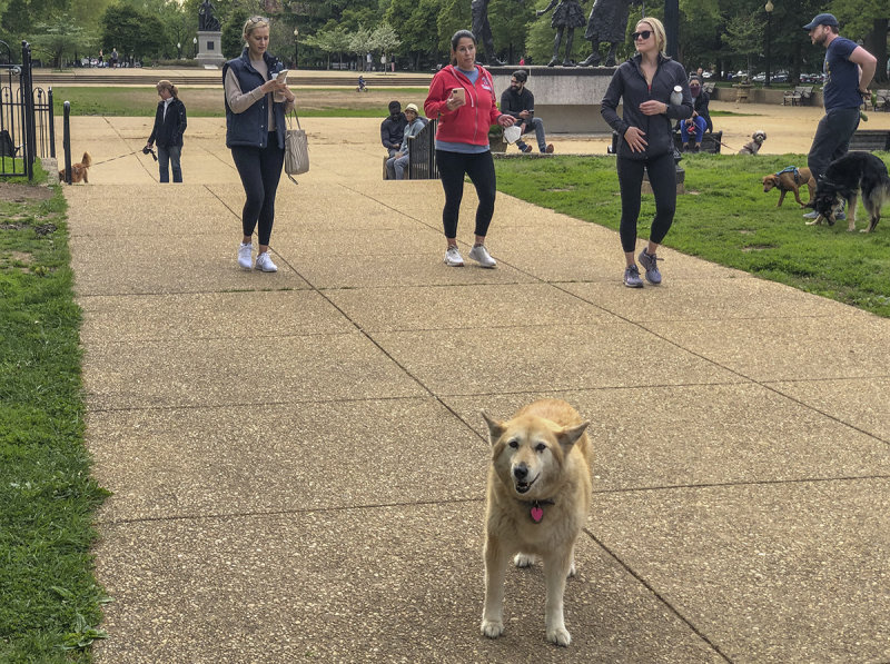 Happy to be in the park
