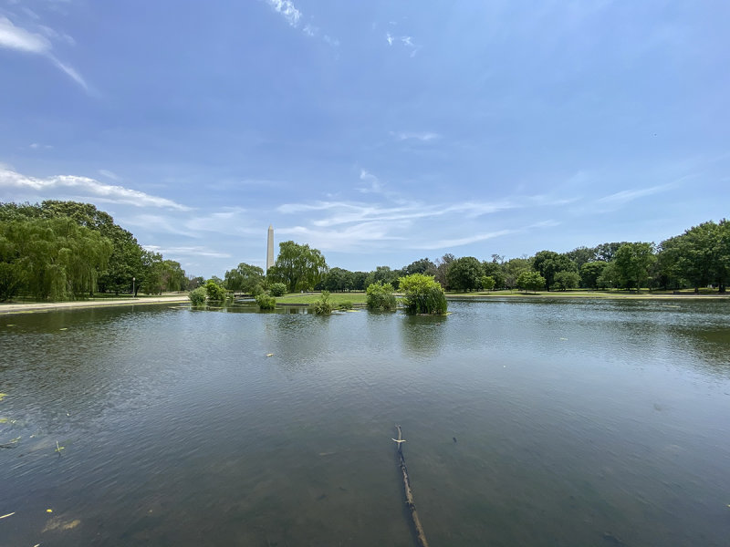 Why we like Constitution Gardens so much...