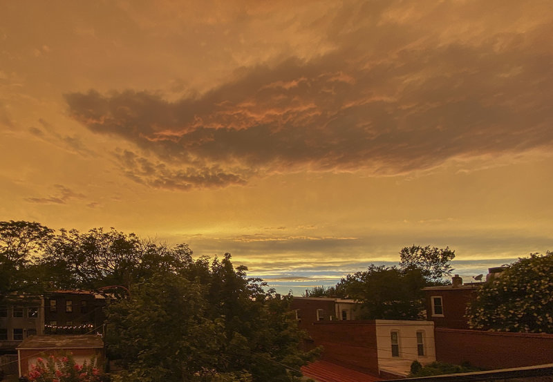 Martian sky over Washington