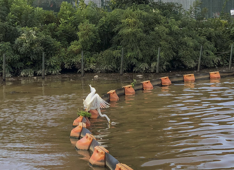 The acrobatic fisherman