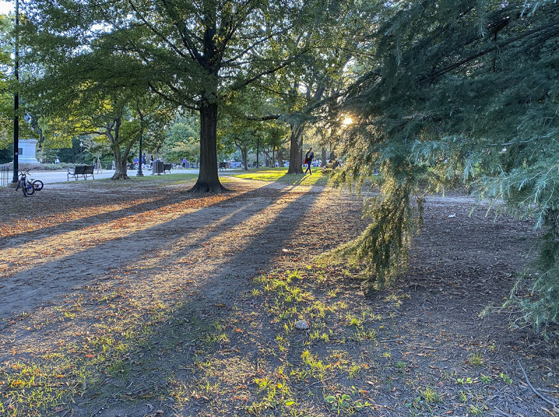 Sunset in the park