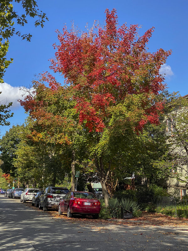 How fall comes to Capitol Hill