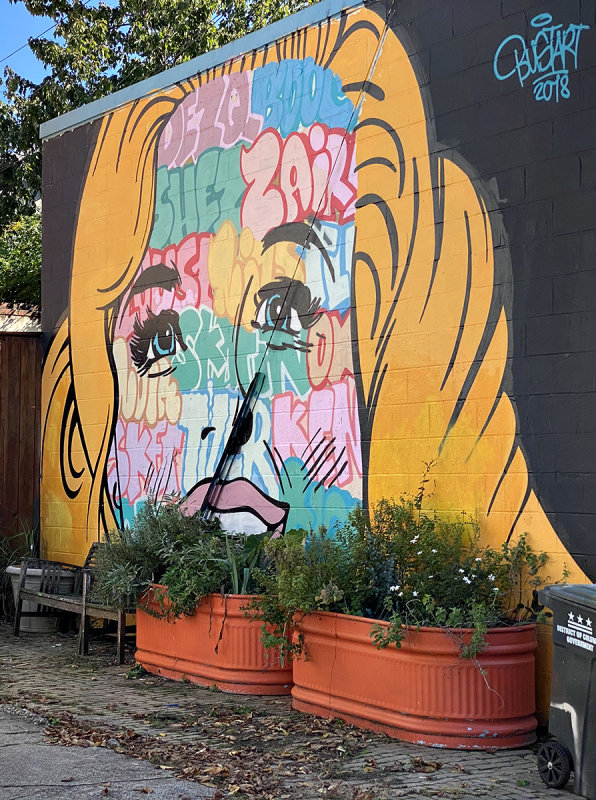 Alley off 8th Street SE