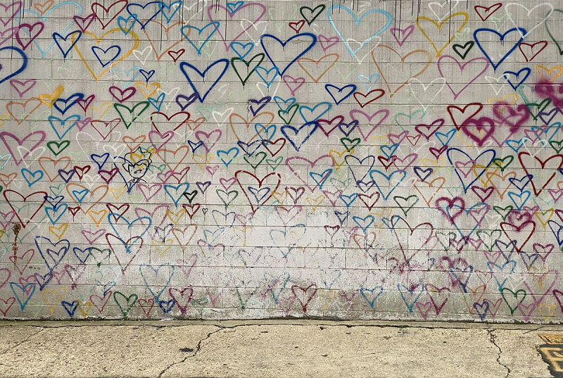 Heart Wall