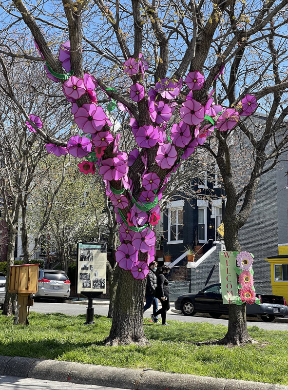Flowering tree