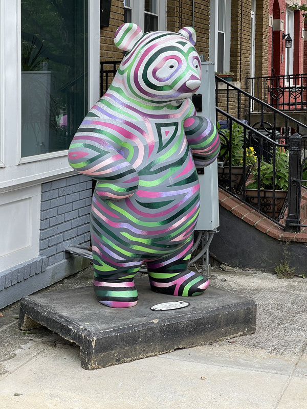 Concentric bear
