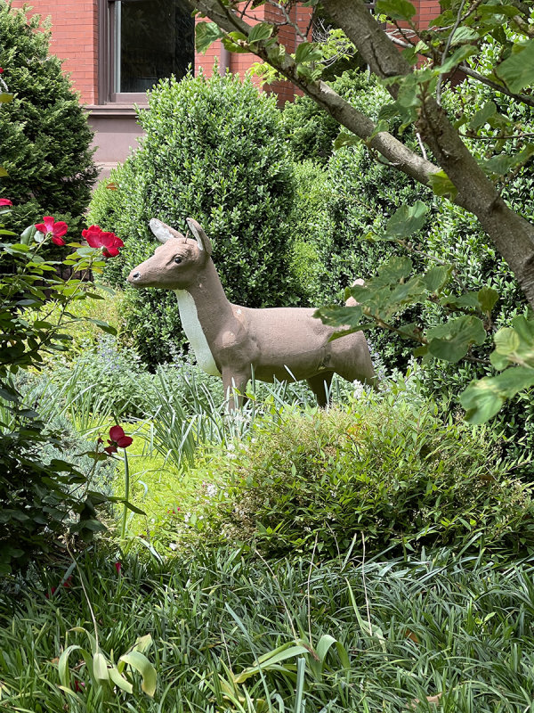The famous deer at the Deer House