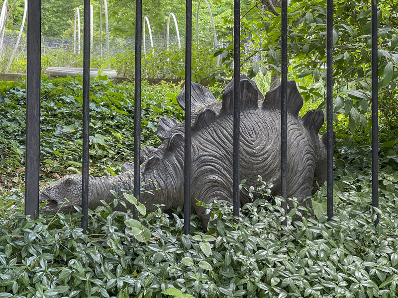 Just your average garden stegosaurus