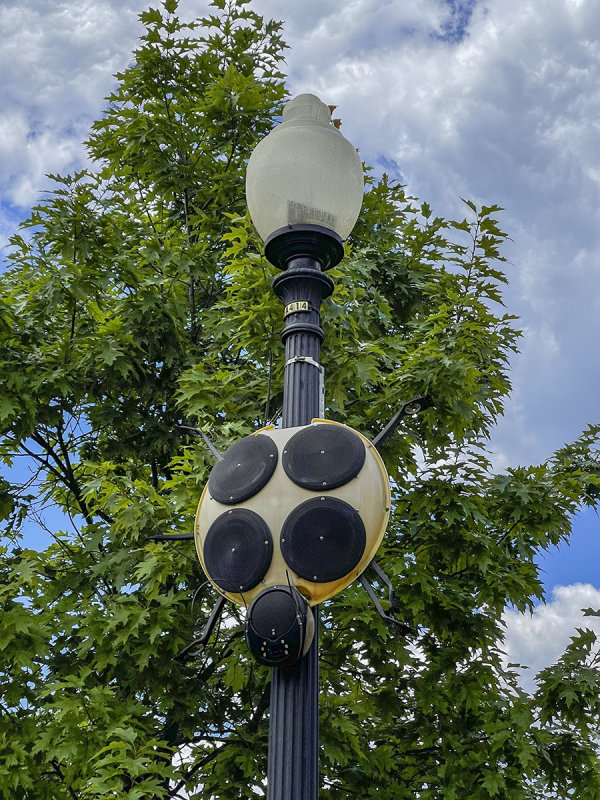 L (Street) is for ladybug