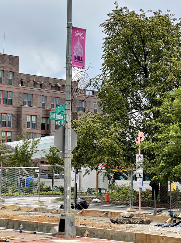 S(outh) Carolina Ave. is for spider