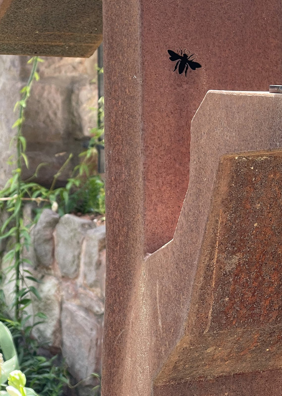 Riddle of the mysterious insect solved