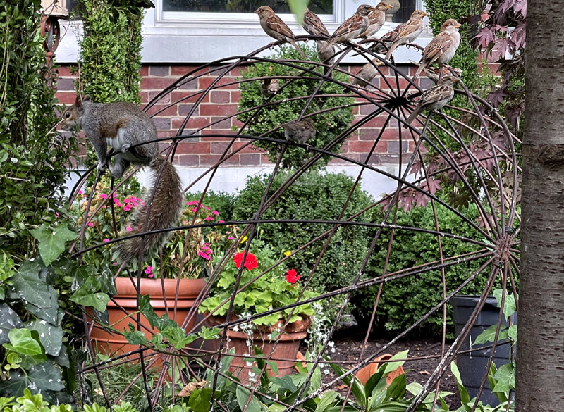 The neighbors