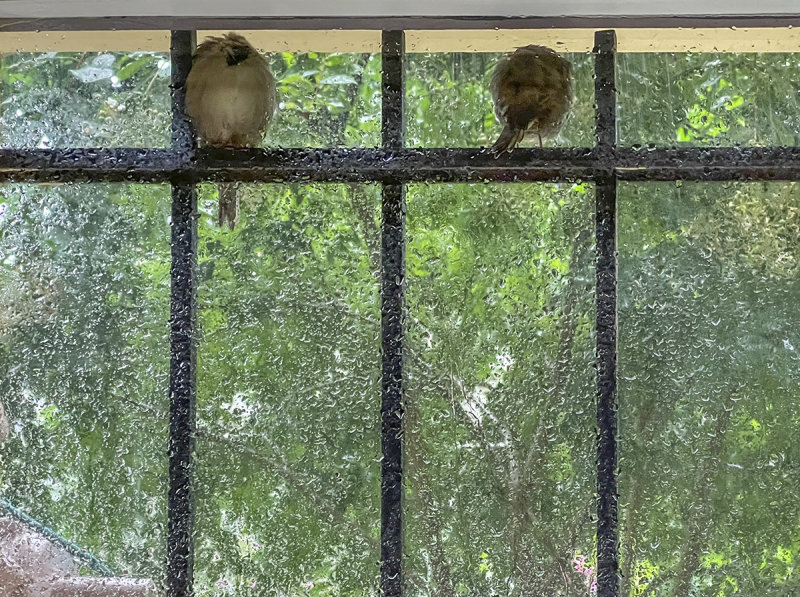 Sheltering
