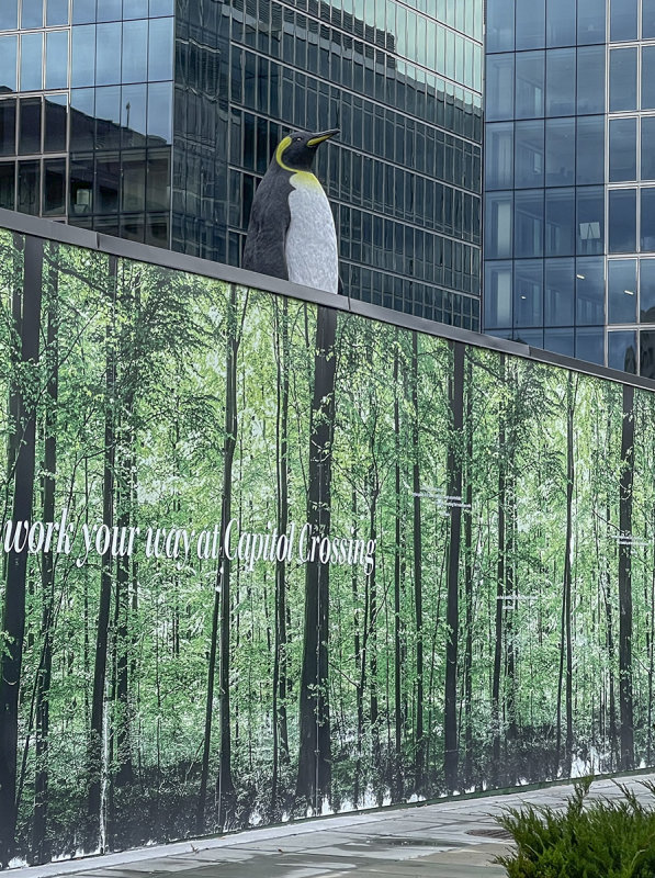 Construction site penguin