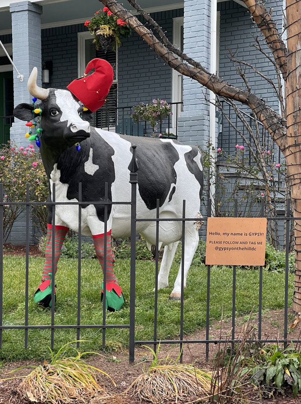 Seems like elves are in style this year