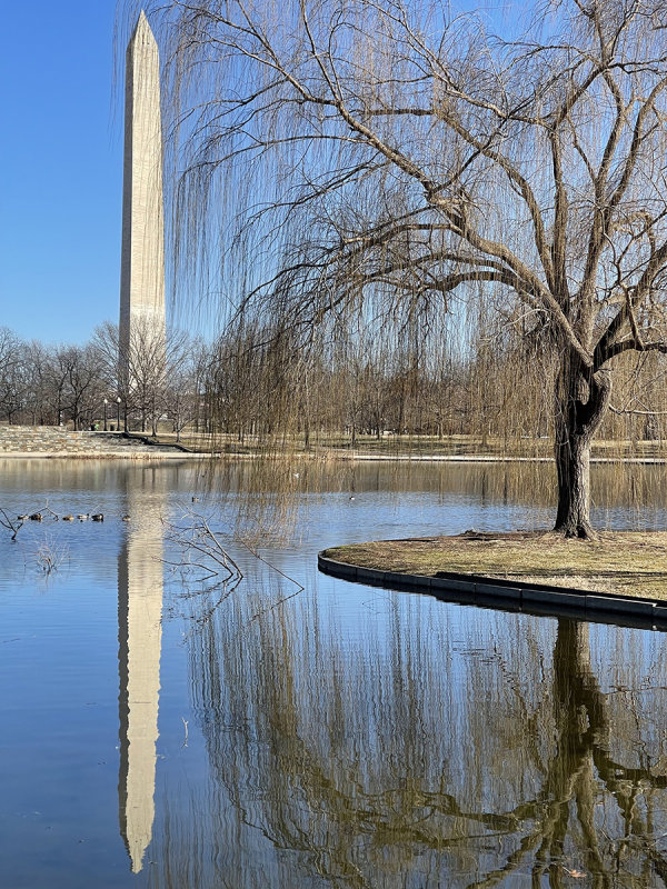 Constitution Gardens on a winters afternoon