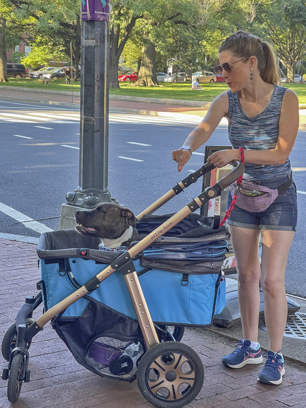 Your dog is the baby!