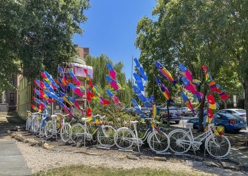The Bicycle Fence