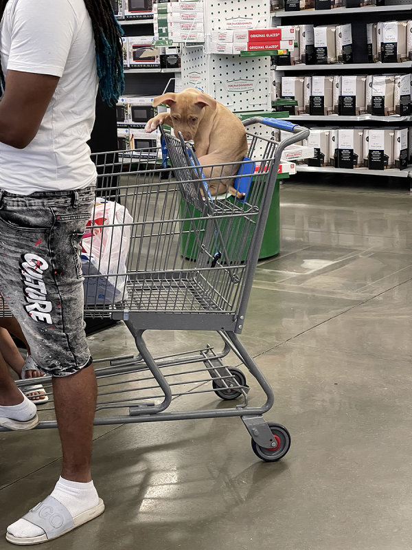 Checking out