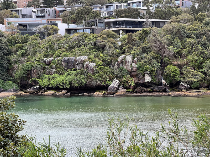 Local color in Sydney