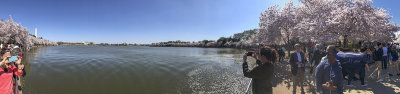 The Tidal Basin in its entirety