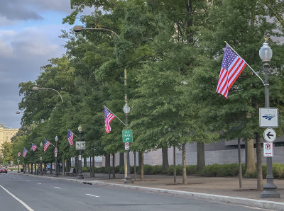 51-star American flags in support of DC statehood