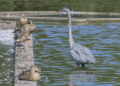 The standoff