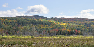 Fall color in the Adirondacks