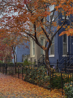 Fallen leaves and row houses