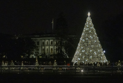 National Christmas Tree