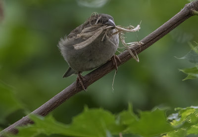 Heavy load