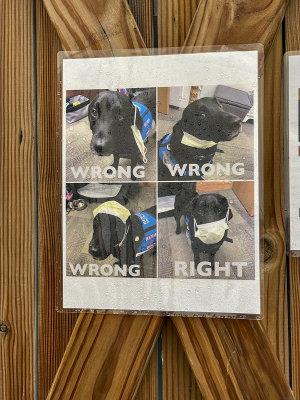 'Right and Wrong'
