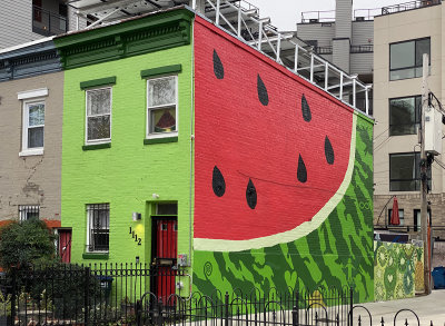 The Watermelon House