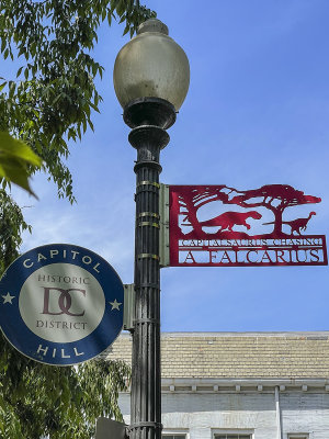 'Capitalsaurus Chasing a Falcarius,' F Street SE
