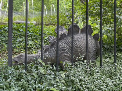 Just your average garden stegosaurus