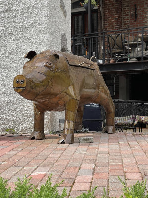 Dual purpose pig